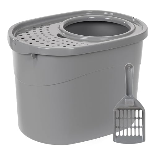 Amazon Basics top-entry box