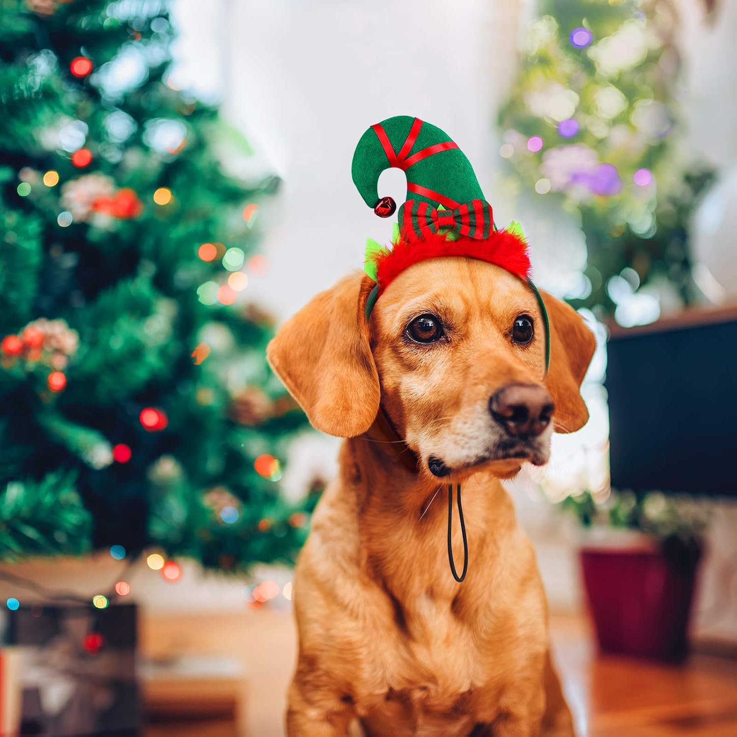 Aneco elf headband costume set for dogs and cats