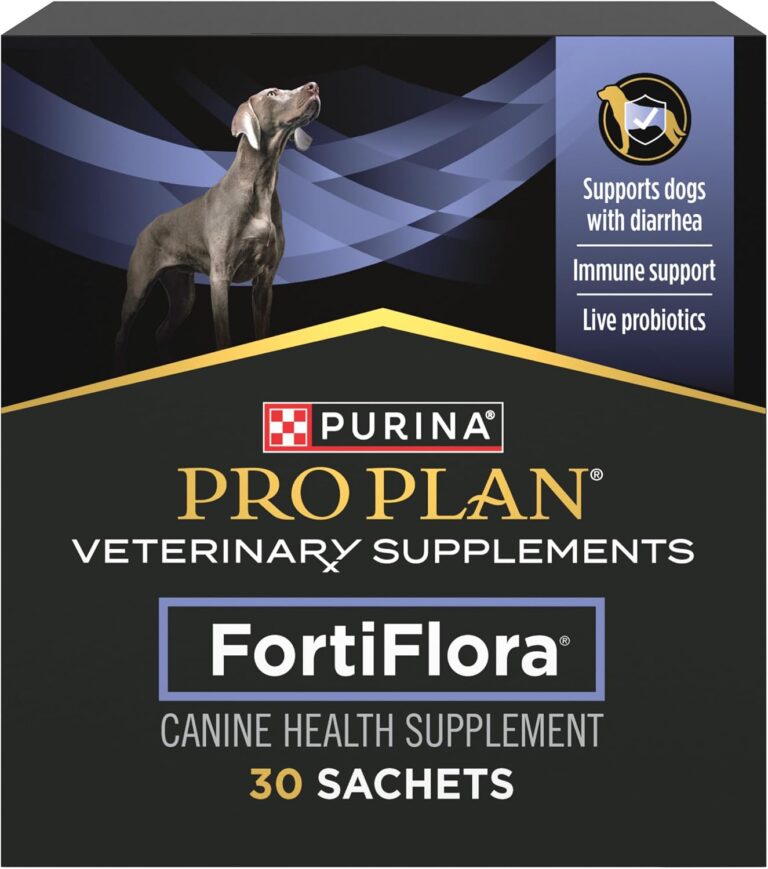 Dog Diarrhea at 2 AM. The 30-Dollar Pantry Fix That Beat the 400-Dollar Panic.
