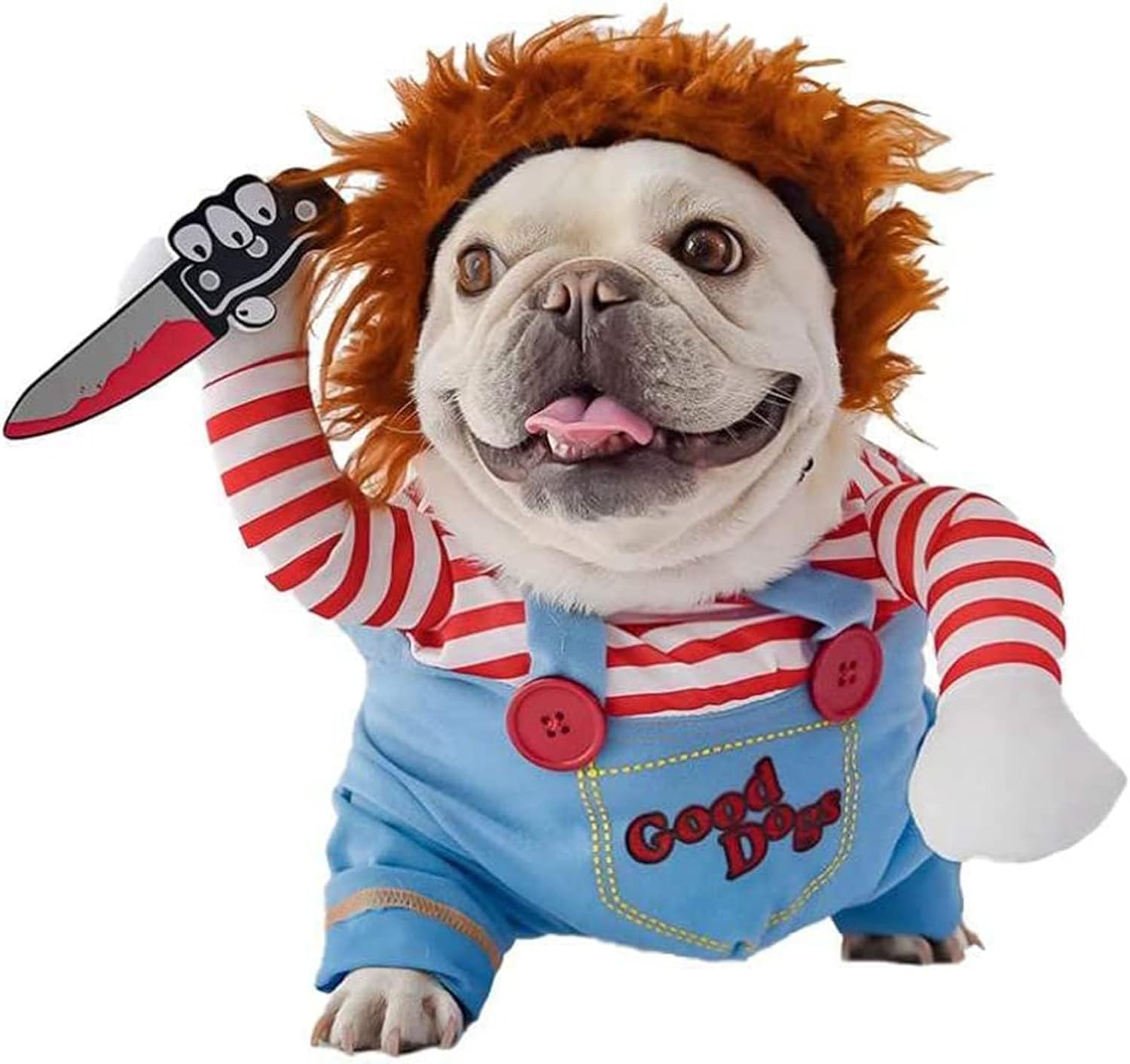 I Ordered Five Dog Halloween Costumes Under 20 Dollars. Two Survived the Zoomies Test.