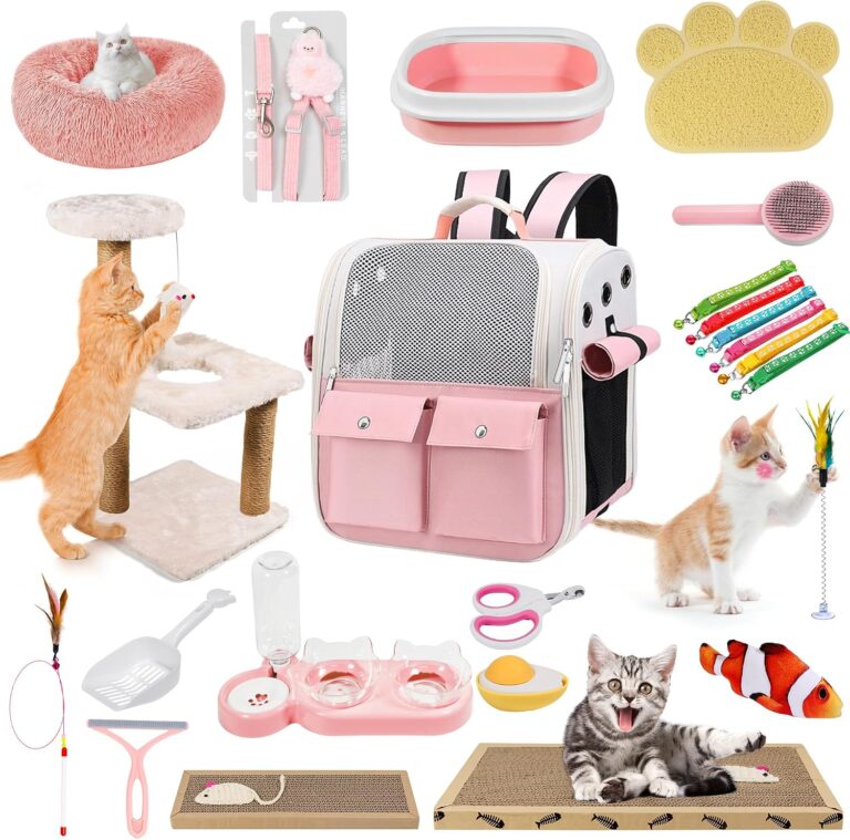 A Kitten First Month on 130 Dollars. The Starter List That Skips the Cute Junk.