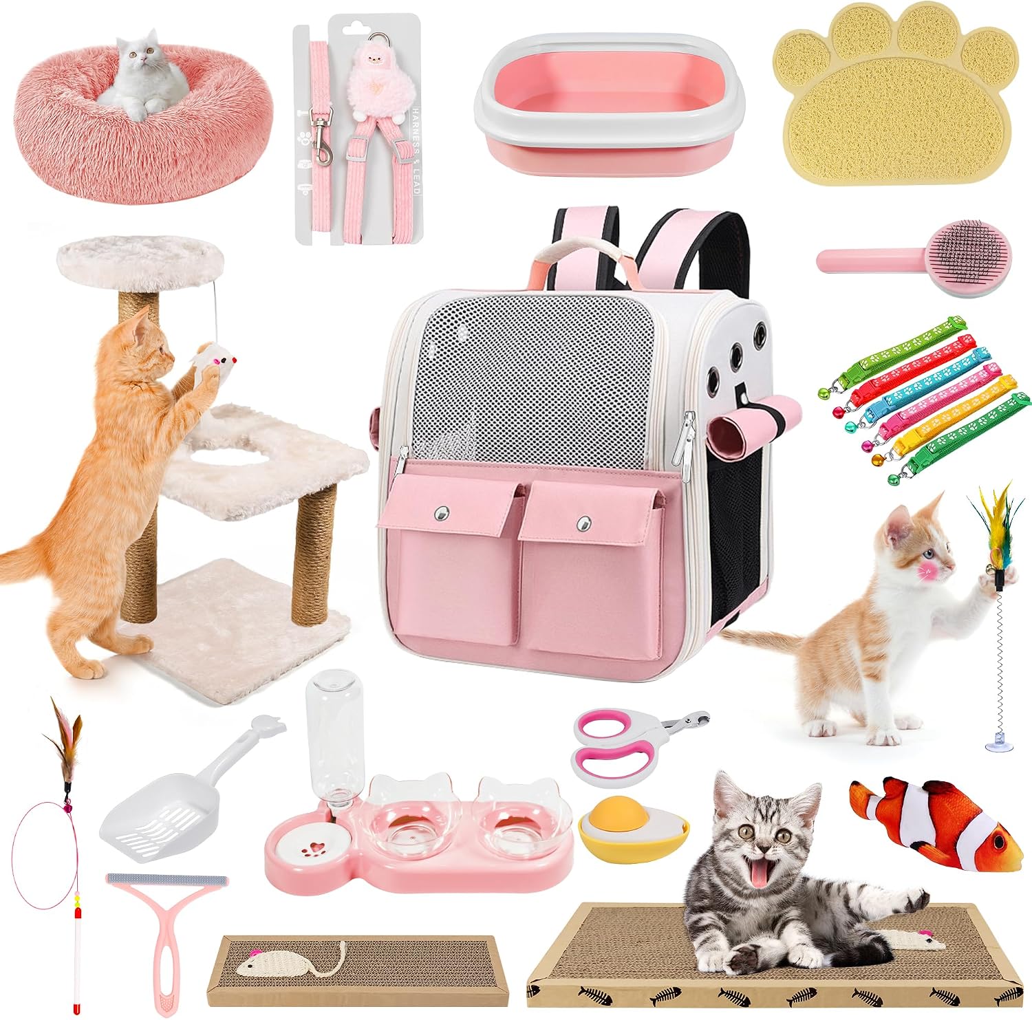 20-piece kitten starter kit with bed, carrier, litter box, bowls and toys