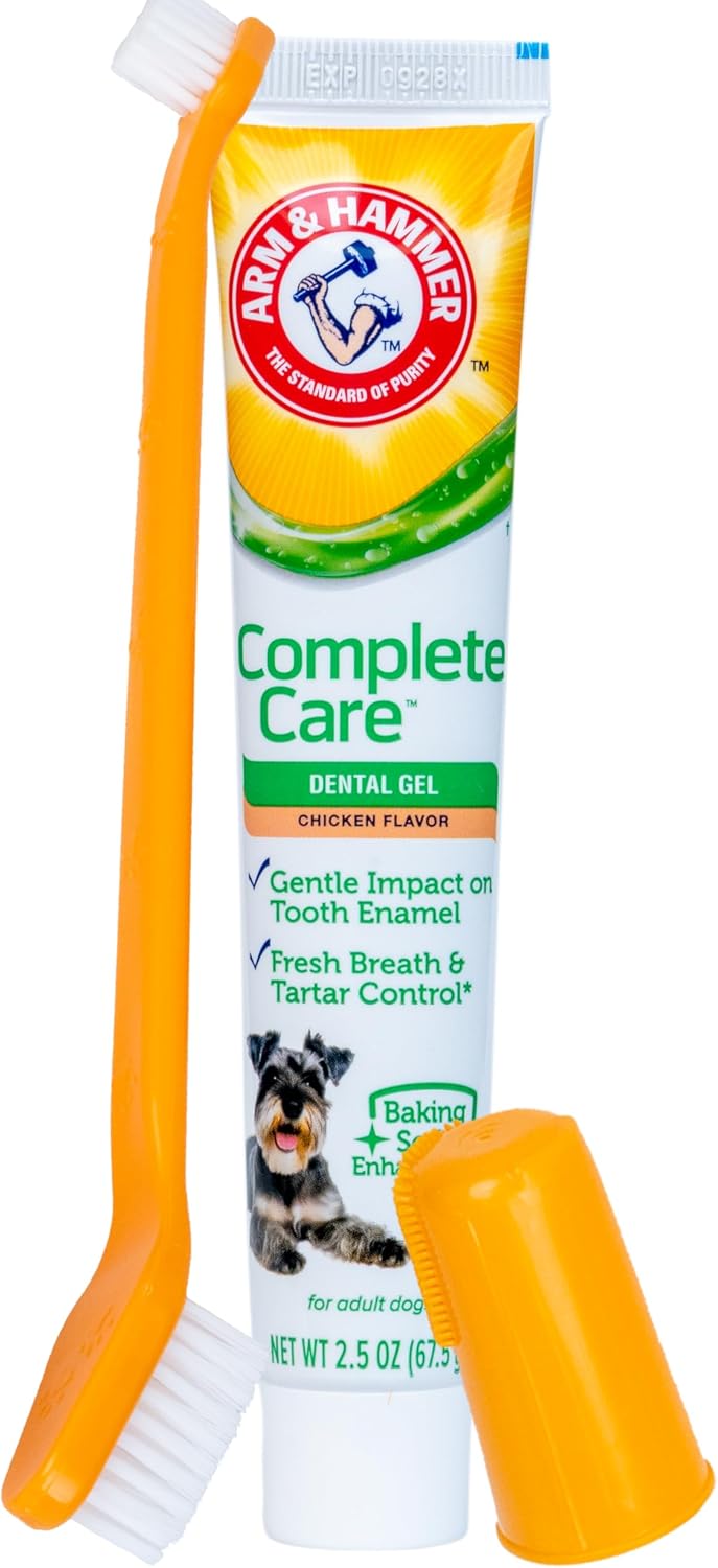 Arm & Hammer Complete Care Dental Gel Toothbrush Kit, Chicken, 3-Piece