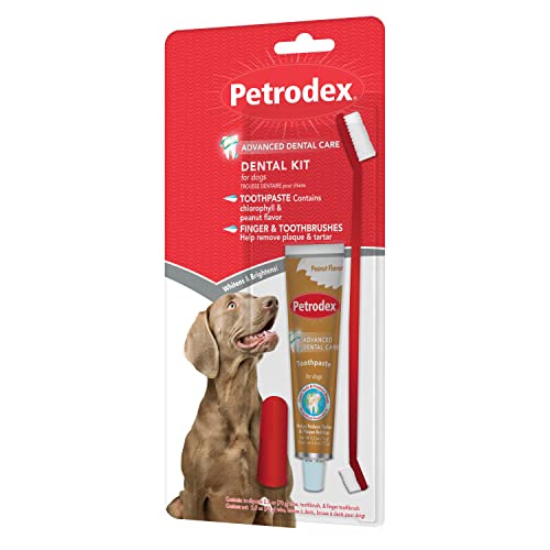 Petrodex Dog Dental Care Kit, Toothbrush & Toothpaste, Peanut, 2.5oz