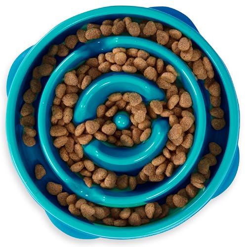 Outward Hound Fun Feeder Slo Bowl – Medium 2‑Cup Capacity, Slow Feeding, Small to Medium Dogs & Cats, Non-Sl